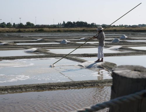 Notre producteur de sel à Noirmoutier