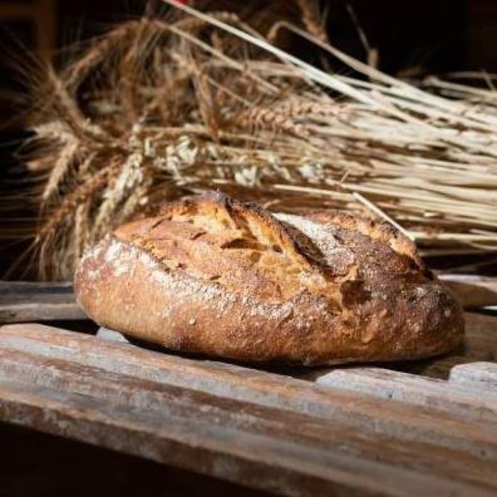Pain de grand épeautre bio au levain - format batard