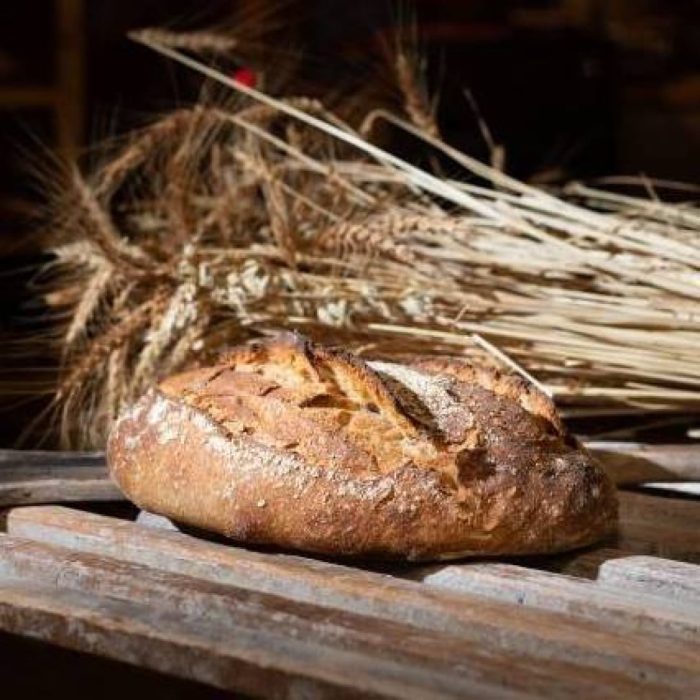 Pain de grand épeautre et blé bio au levain - format batard