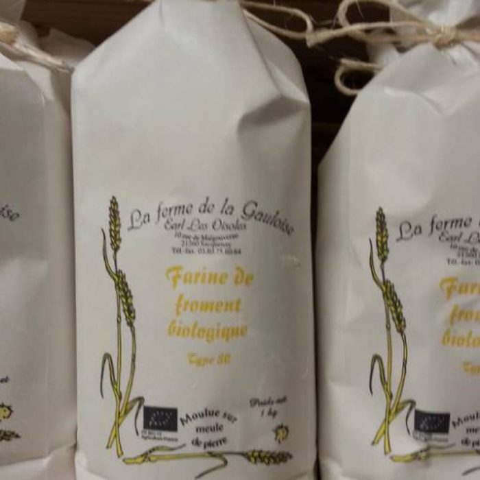 Farine de froment T110 1kg