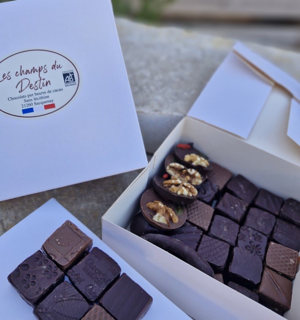 Boîte de bonbons chocolat bio - Grande vrac 595 g