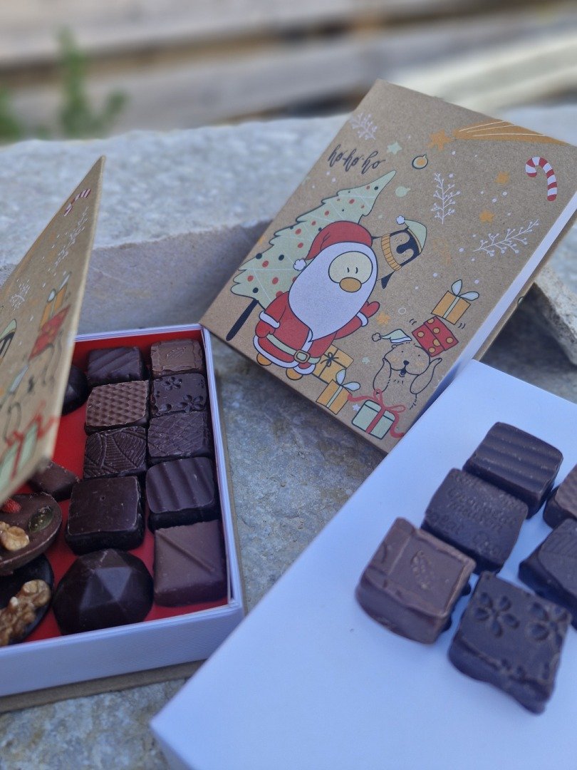 Livre "père Noël" contenant des chocolats bio - 125 g